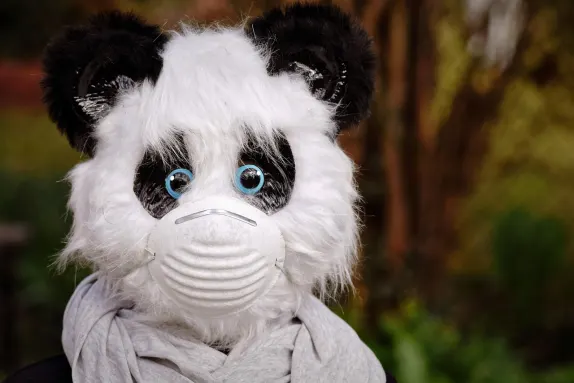 Casino Mars Bet Suporte